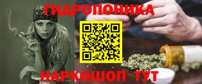 МДПВ Будённовск