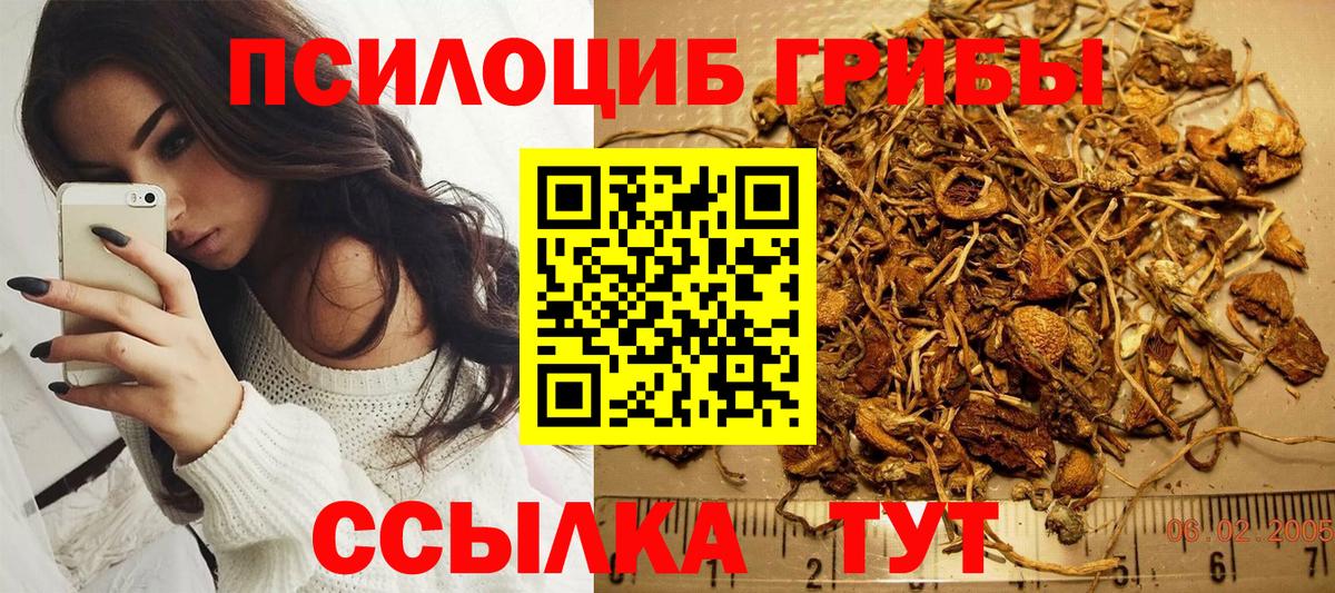 Псилоцибиновые грибы Magic Shrooms  Вход с VPN  Михайловск 