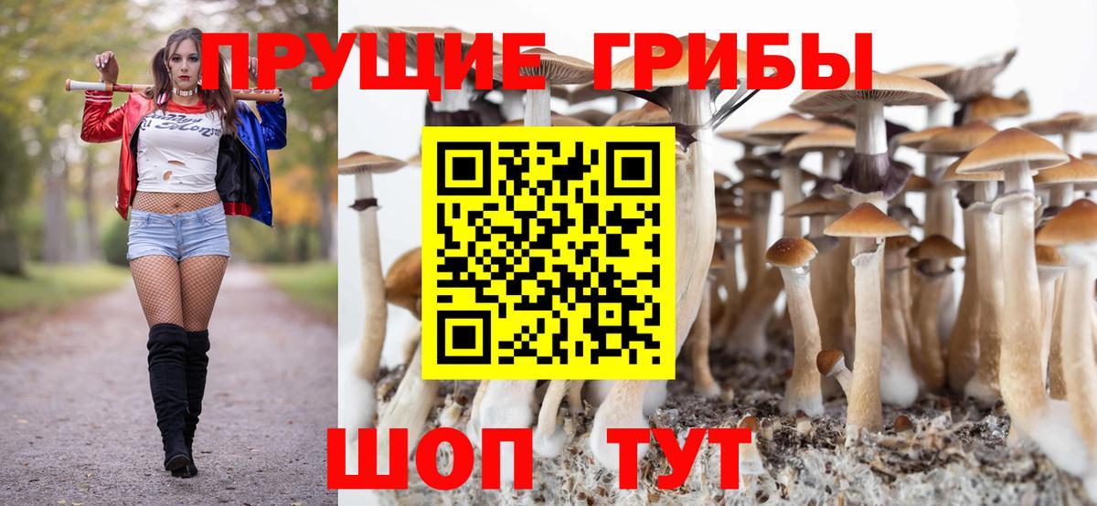 Галлюциногенные грибы Cubensis Михайловск